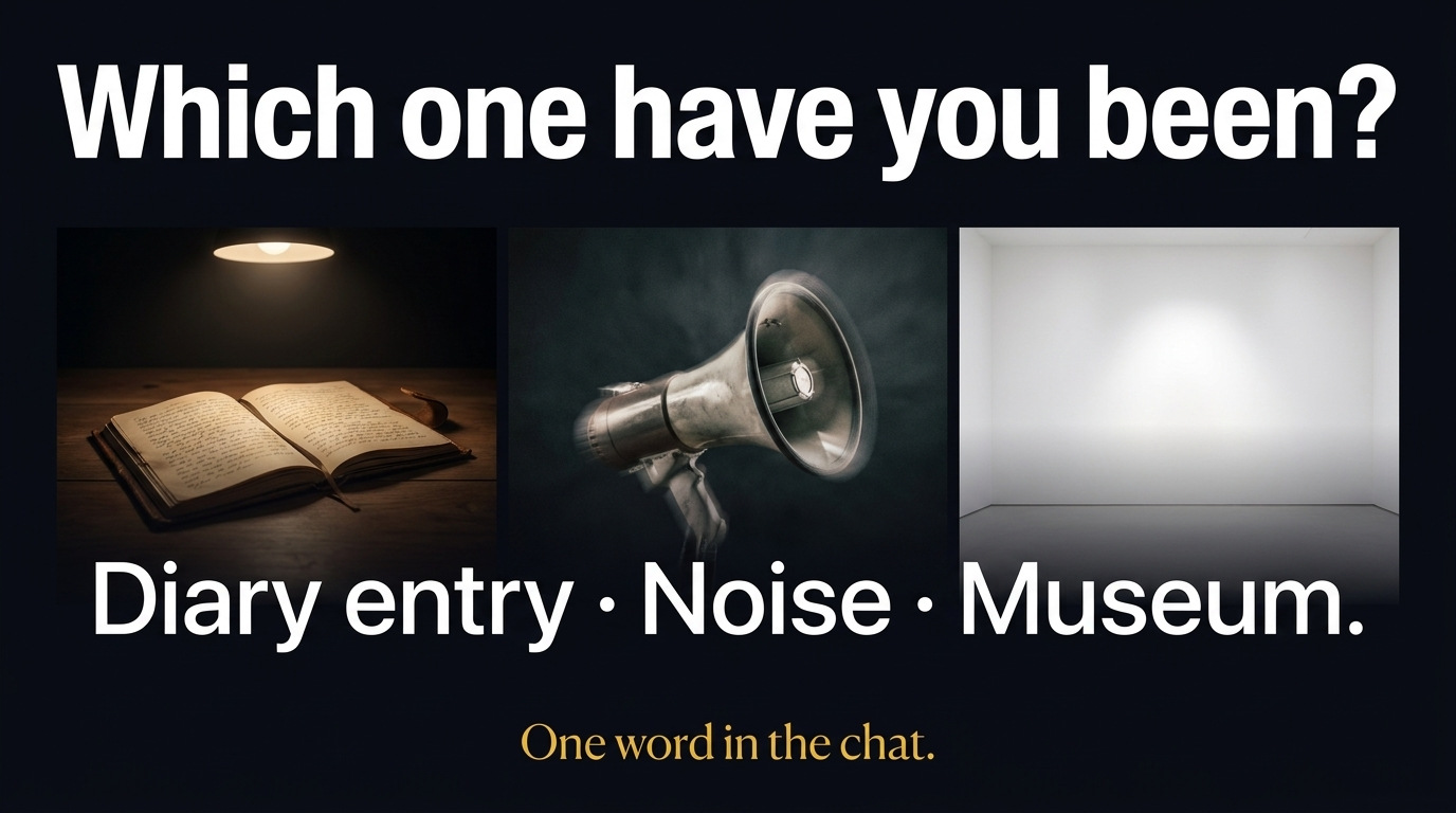 Which one have you been? Diary entry · Noise · Museum. One word in the chat.